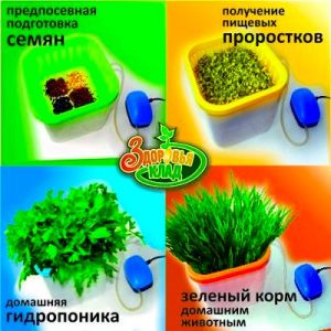 Проращиватель семян Здоровья Клад автоматический ― Телемагазин Краснодар